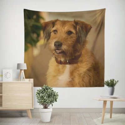 A Canine Twist in Absolutely Anything Wall Tapestry